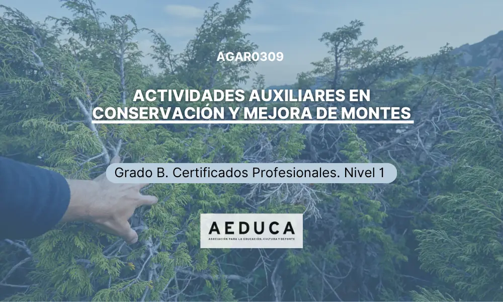 Curso de actividades auxiliares en conservación y mejora de montes