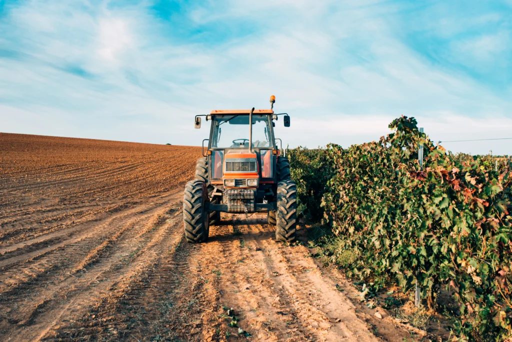Curso de agricultura sepe