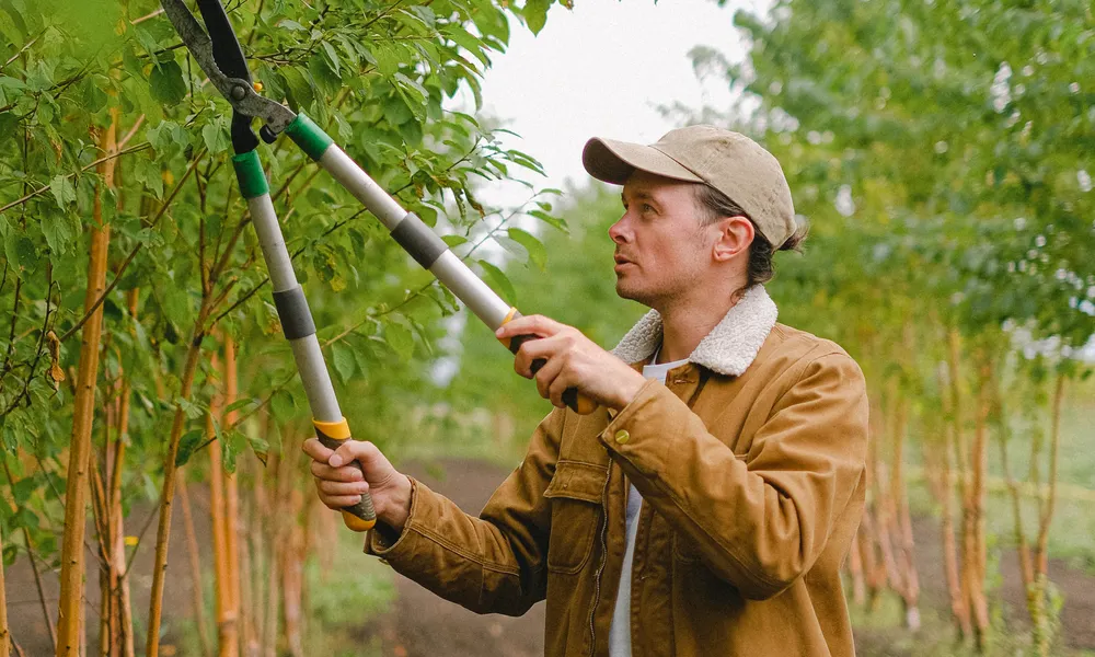Curso de jardinería SEPE: instalación y mantenimiento de jardines (AGAO0208)